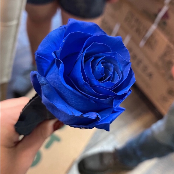 Our World and the awesome Joy We Share - Picture 4 of 16